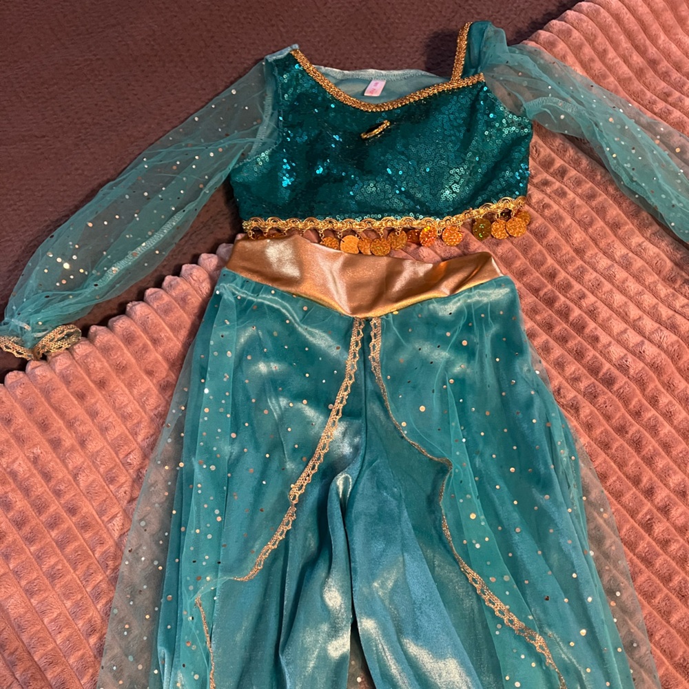 Jasmine Costume